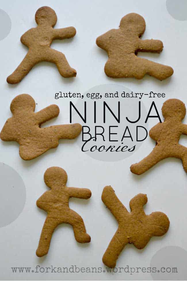 Vegan Ninjabread Cookies