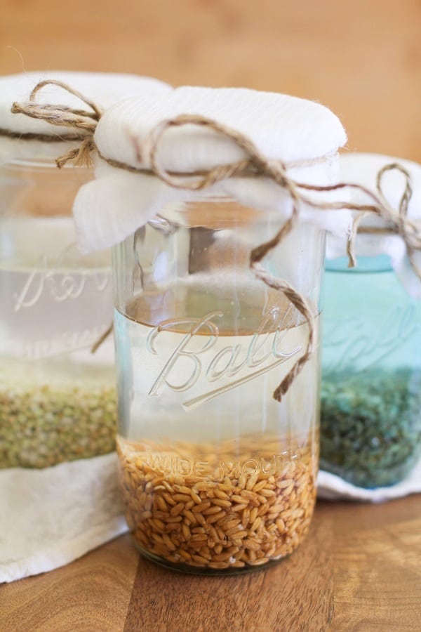 Sprouted Grains