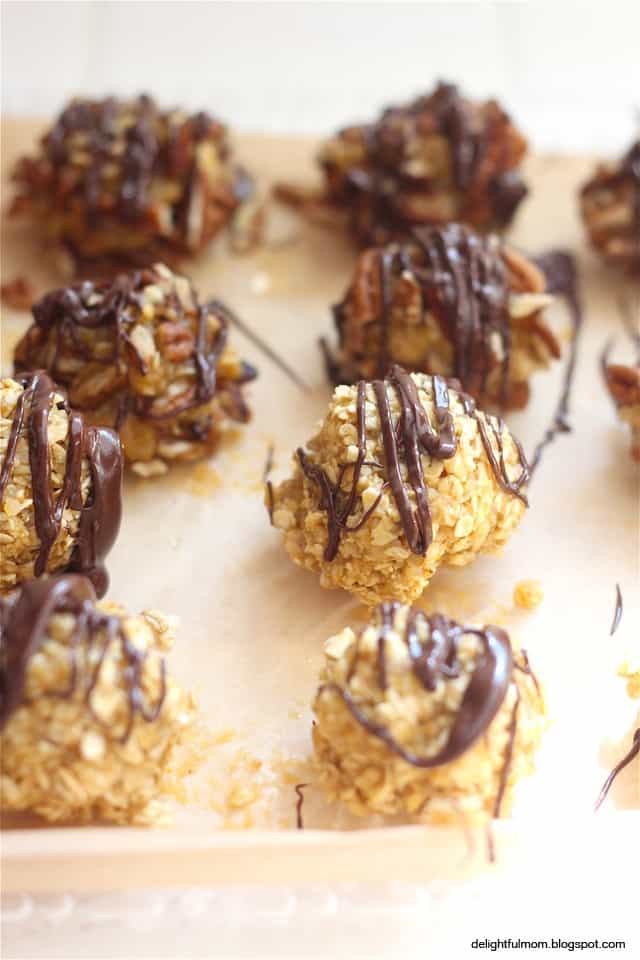 No-Bake Protein Pumpkin Peanut Oat Cookies