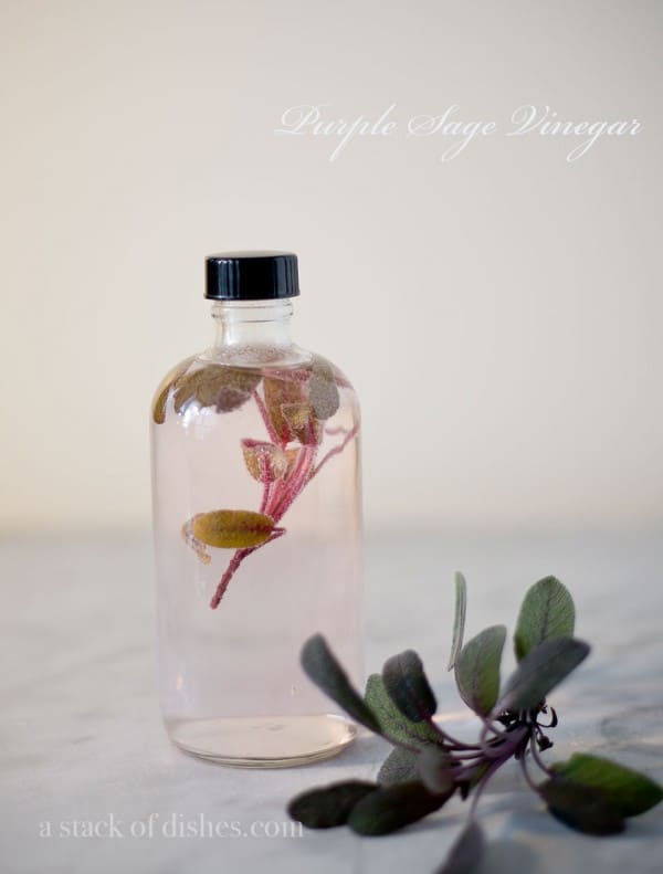 Herb Infused Flavored Vinegars