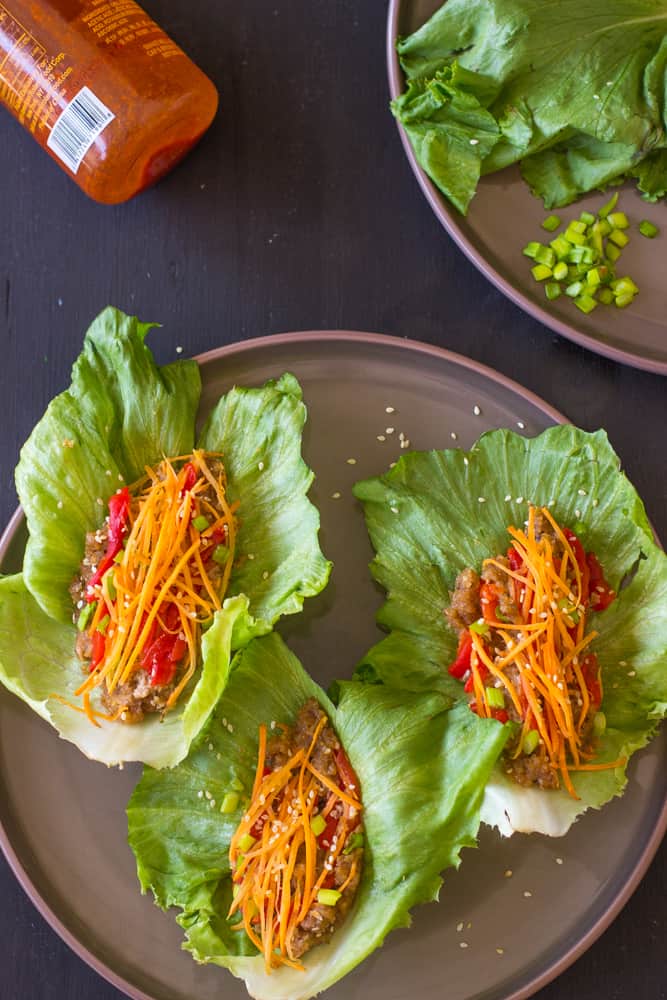 Vegan Asian Lettuce Wraps