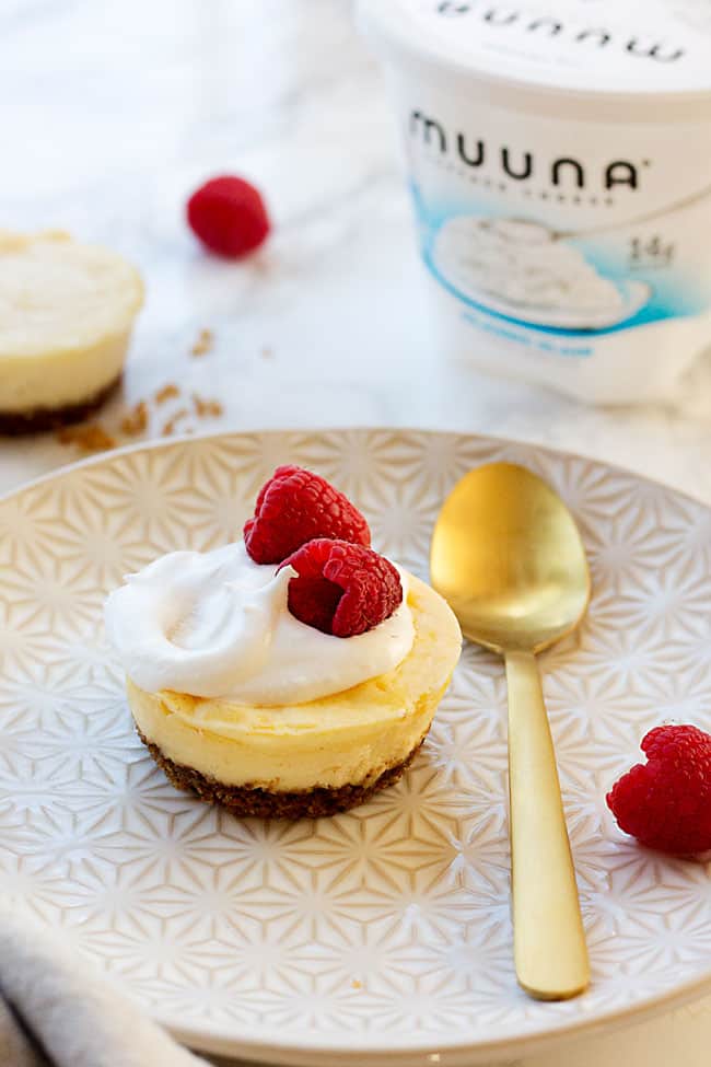 mini cheesecakes you can eat for breakfast? yes, really.