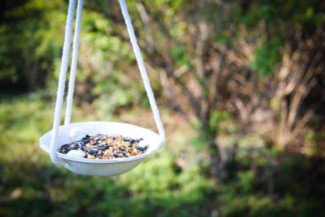 DIY Clay Birdfeeder