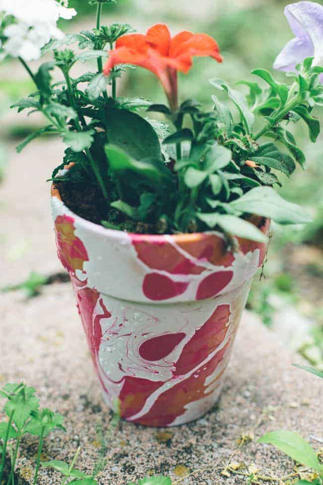 Nail Polish Marbled DIY Planters | HelloGlow.co