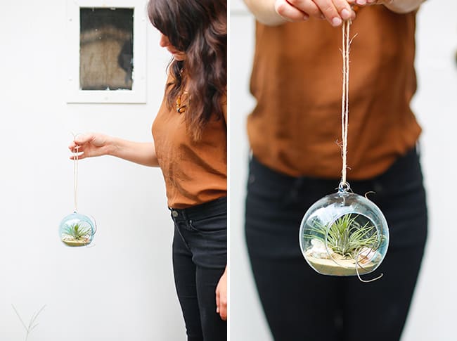 Beach Terrarium | Hello Glow