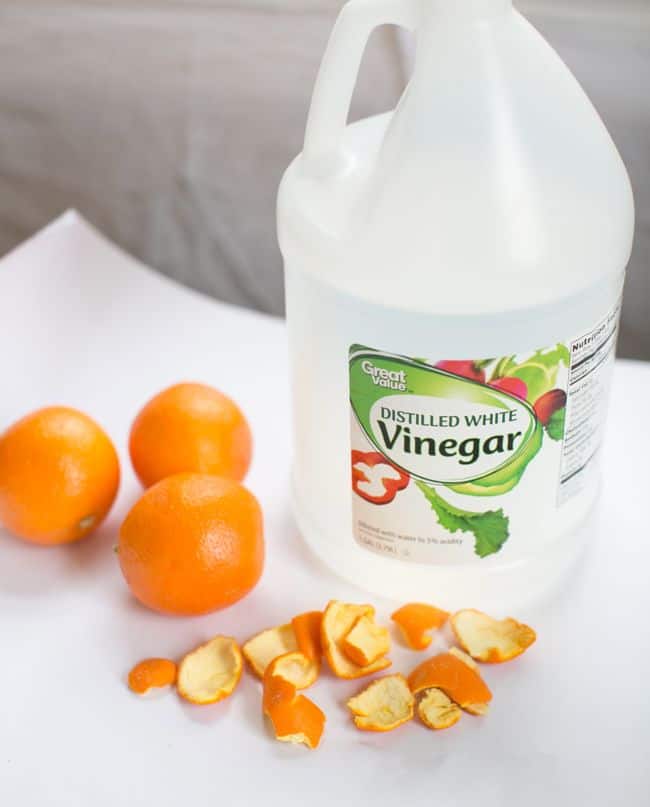 Vinegar and Citrus Disposal Cleaners | Hello Glow