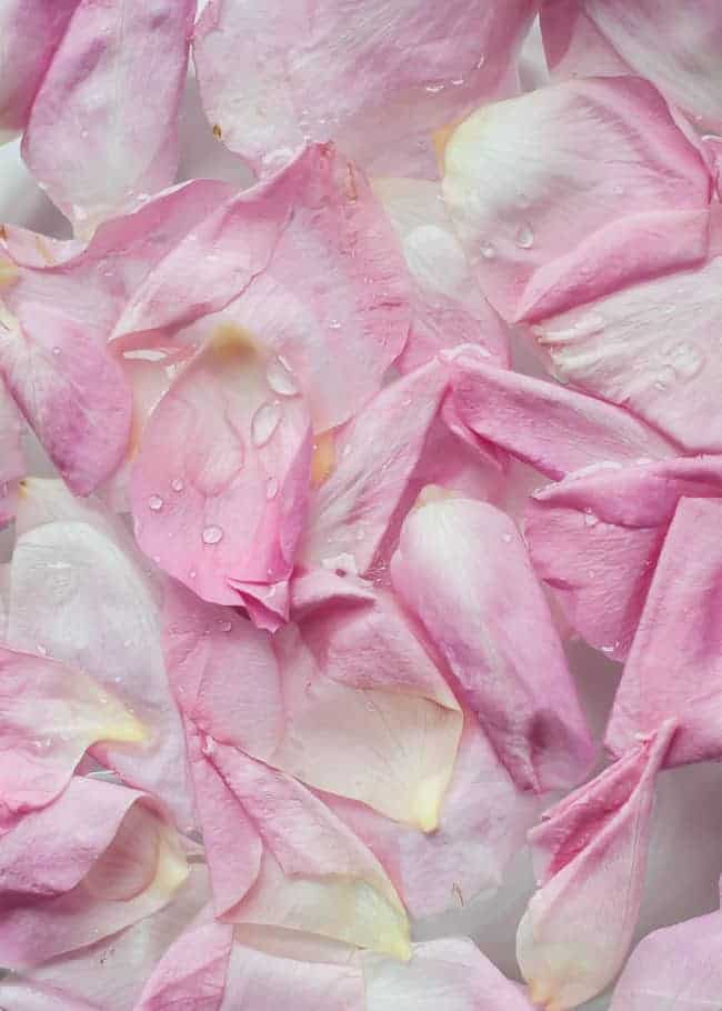 Rose Petal Bath | Hello Glow