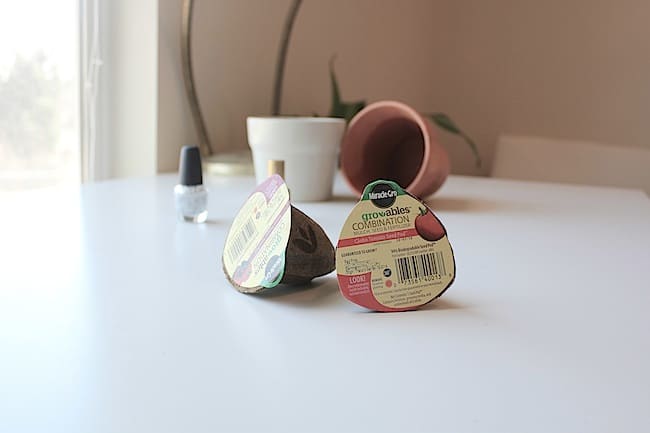 DIY Planters with Nail Polish | Hello Glow DIY Planters with Nail Polish | Hello Glow