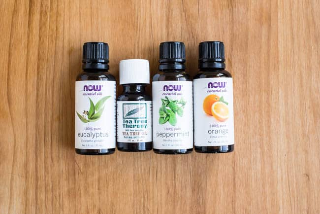 Essential Oils for Household Pests | Hello Glow