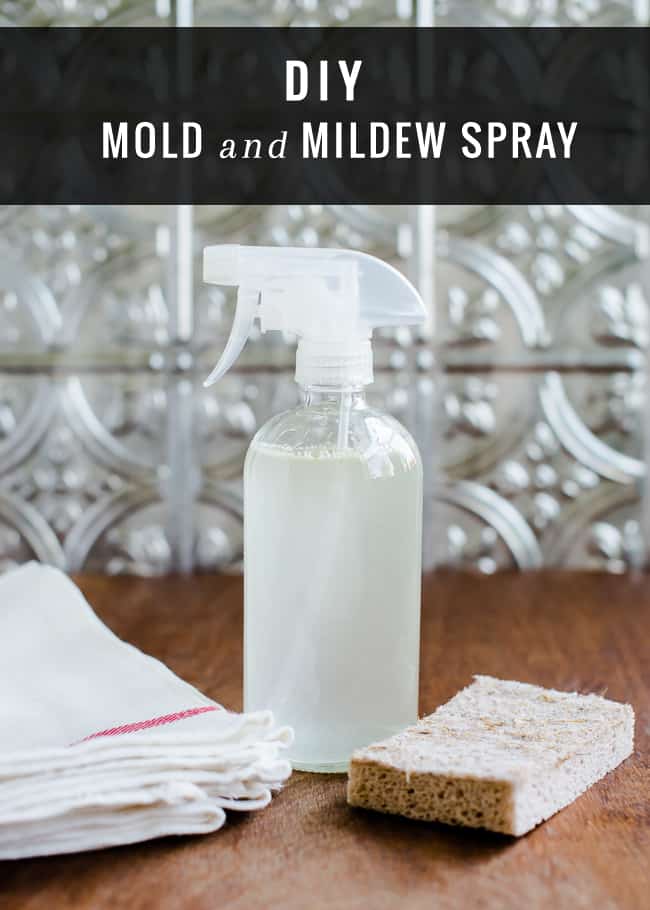 Mould Killer Essential Oil Spray Recipe