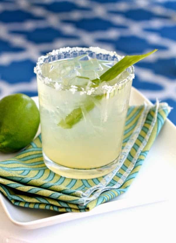 Skinny aloe margarita
