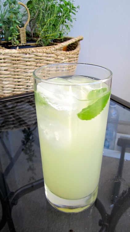 Aloe ginger refresher