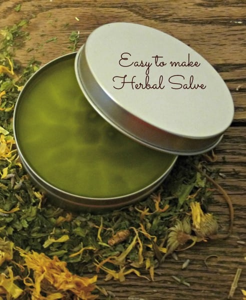 13 Homemade Herbal Balms + Salves | HelloGlow.co