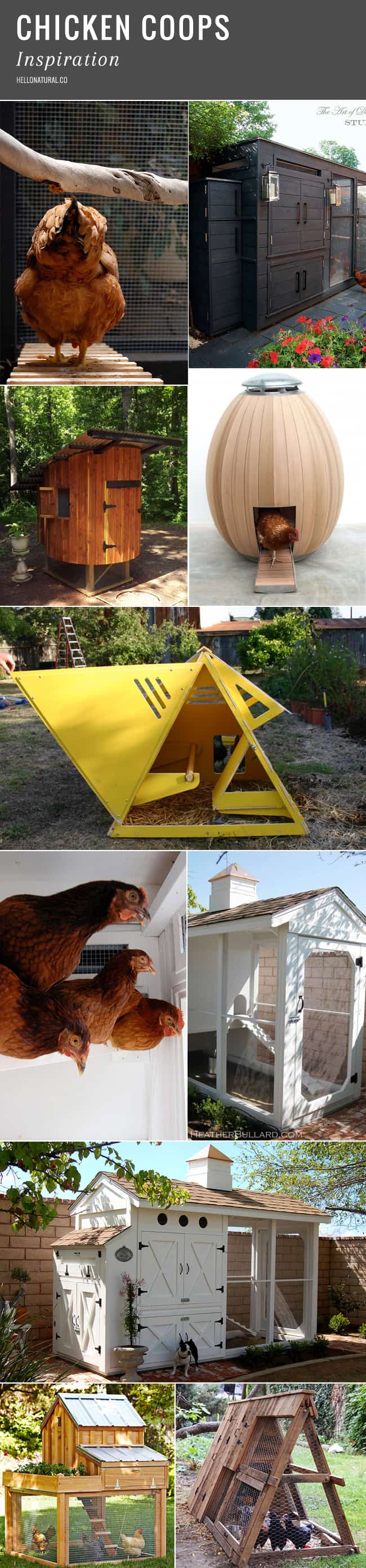 DIY Backyard Chicken Coop Designs