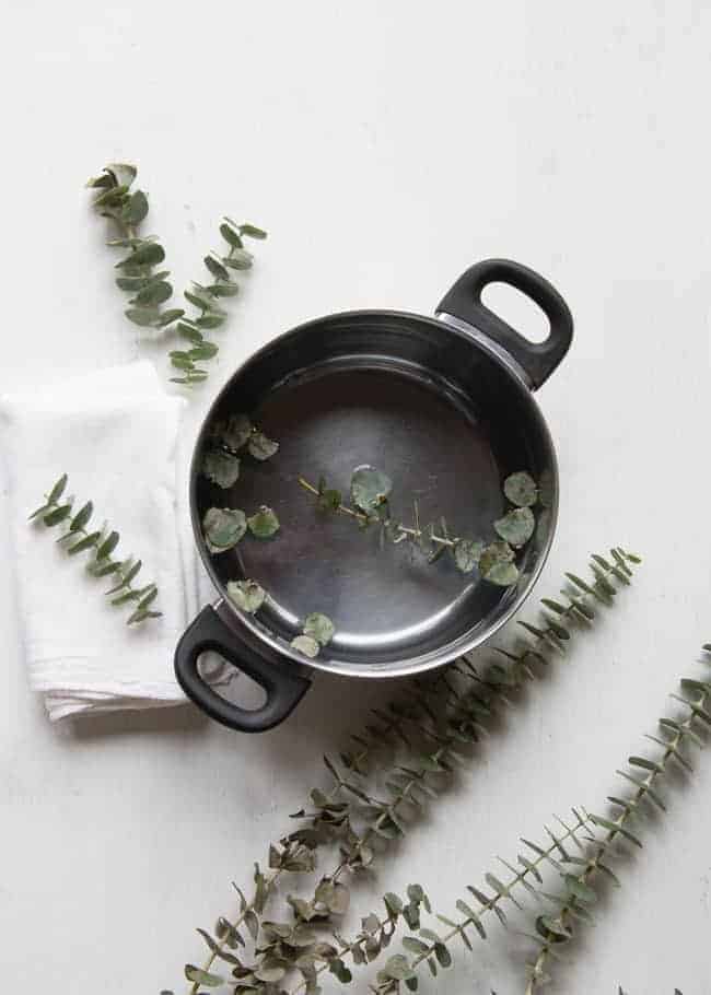 DIY Eucalyptus Steam | HelloGlow.co