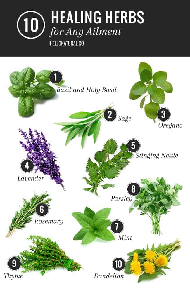 10 Healing Herbs List for Any Ailment | HelloGlow.co on {keyword}