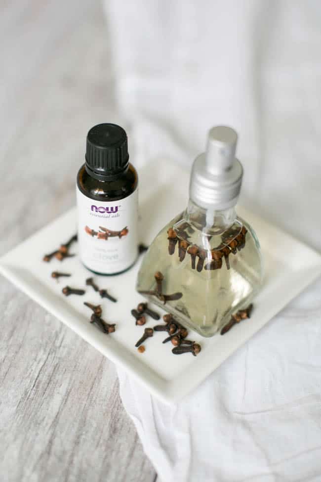 Clove oil uses