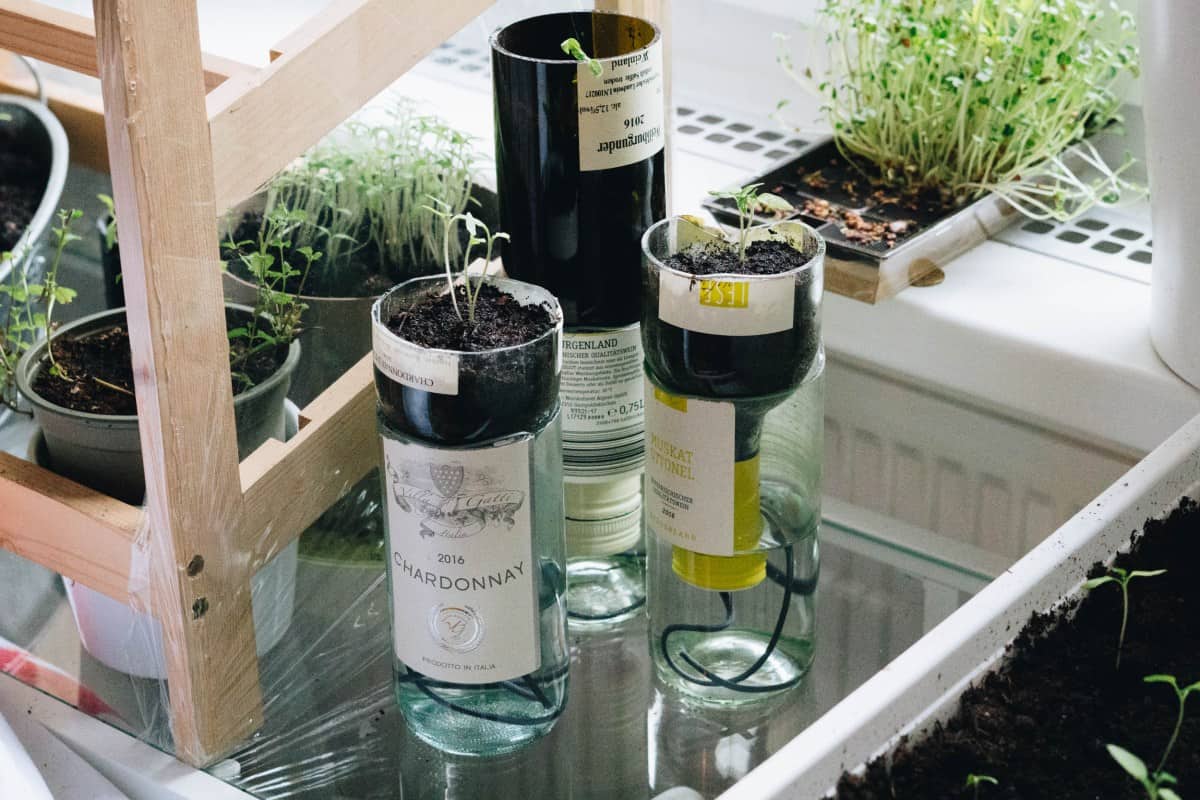 Selfwatering pots by Yellow Girl