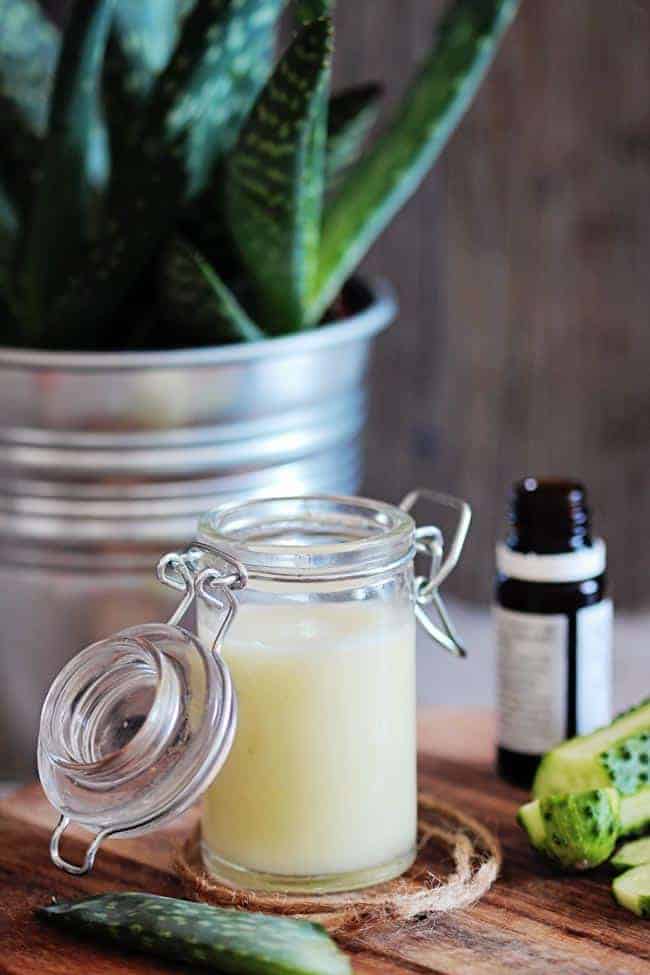 Acne Face Mask | 12 Aloe Beauty Recipes