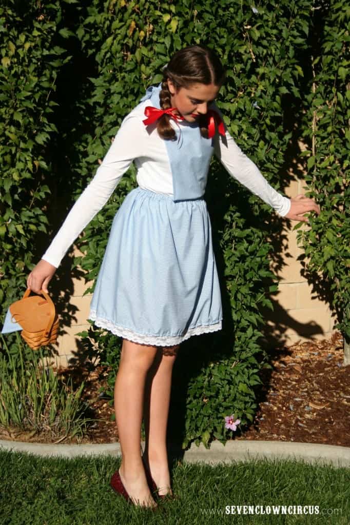 Dorothy Halloween Costume