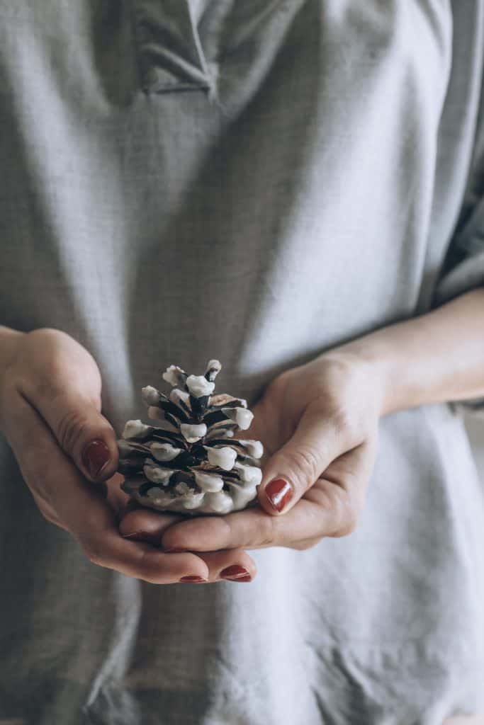 Make Your Own Wax-Dipped Cinnamon Pinecone Firestarters