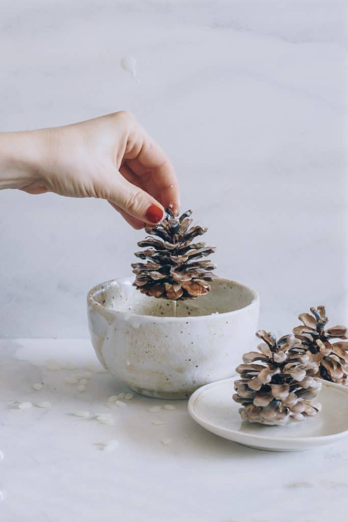 Make Your Own Wax-Dipped Cinnamon Pinecone Firestarters