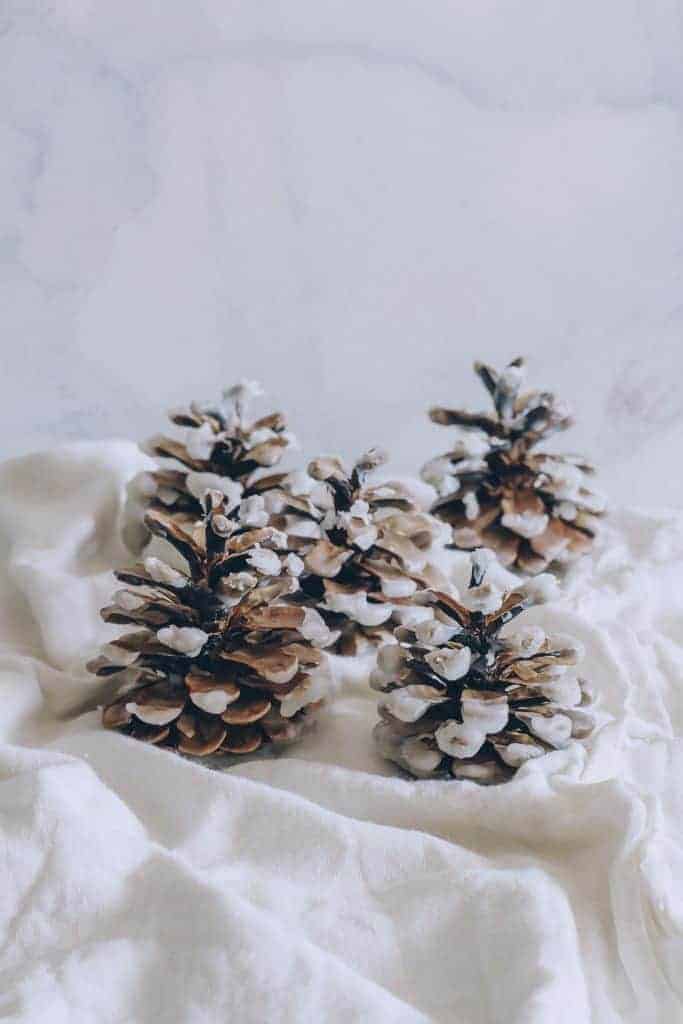 Make Your Own Wax-Dipped Cinnamon Pinecone Firestarters