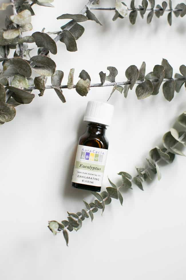 Eucalyptus Essential Oil | 5 Best Essential Oils for Everyday Use