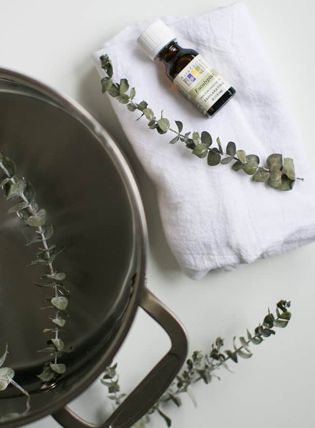 Eucalyptus Essential Oil Steam diffusion