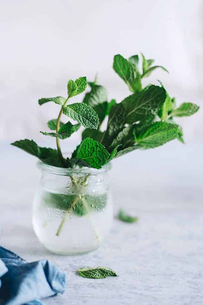 Beauty and Health Benefits of Mint Inside + Out