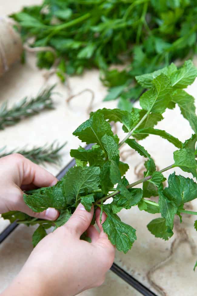 A Simple Guide to Drying Your Herbs | Hello Nest