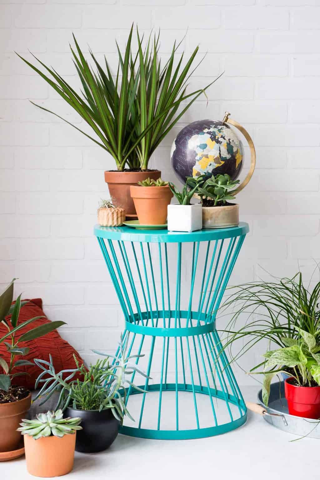 11 Low Maintenance Houseplants + How To Care For Them 11 Low Maintenance Houseplants + How To Care For Them