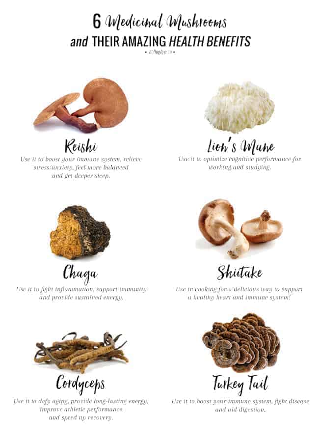 A Holistic Nutritionist Explains 6 Adaptogenic Mushrooms + Their