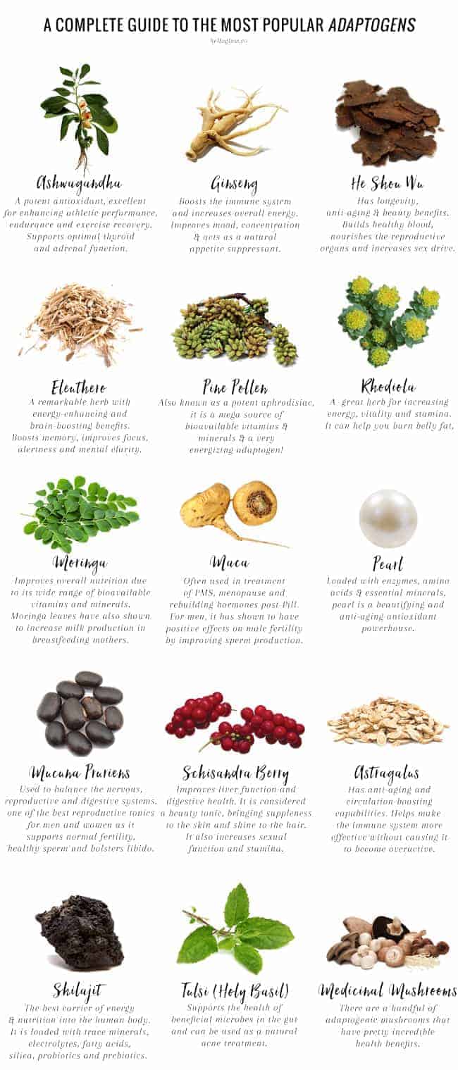 Adaptogen natural remedies