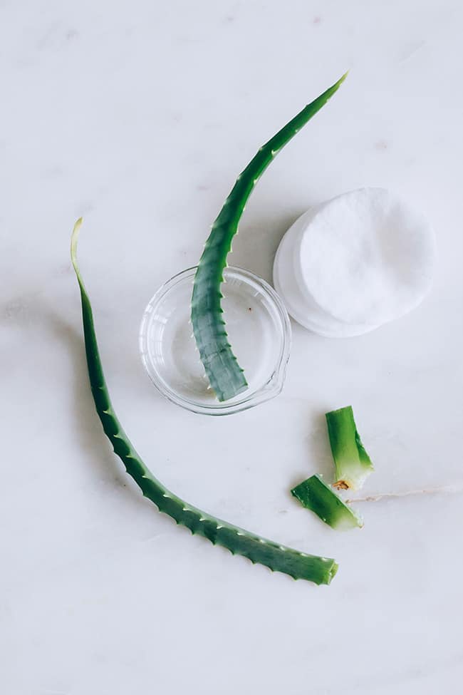 Aloe makeup remover