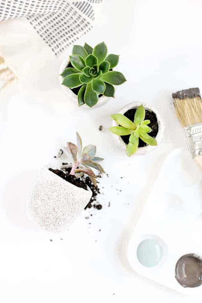 We're Completely Obsessed With These DIY Mini Succulent Pots