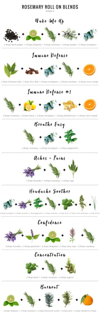 12 Rosemary Essential Oil Blends for Roll-On Aromatherapy Relief ...