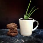 Raw Aloe Brownies
