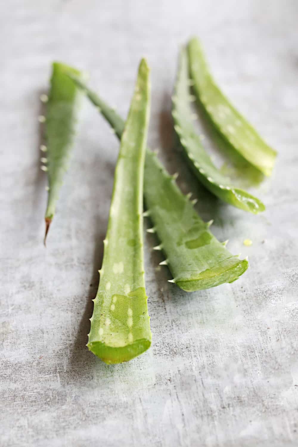 How to store cut aloe vera leaves and fresh aloe gel