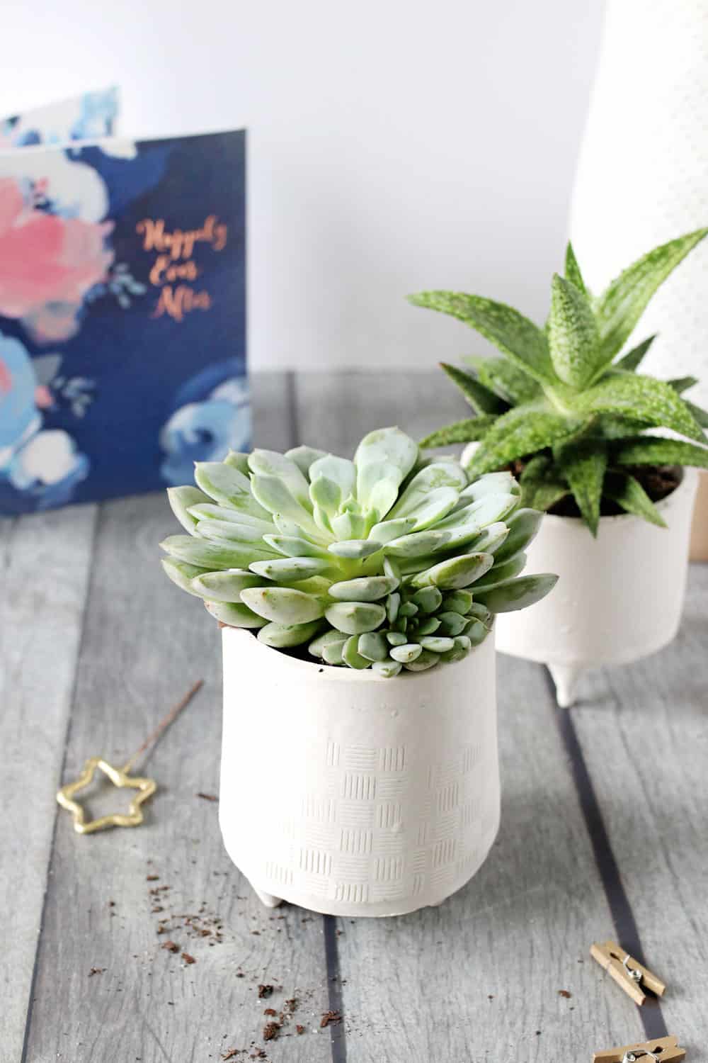 How to Make Your Own Gorgeous, Giftable Succulent Planters