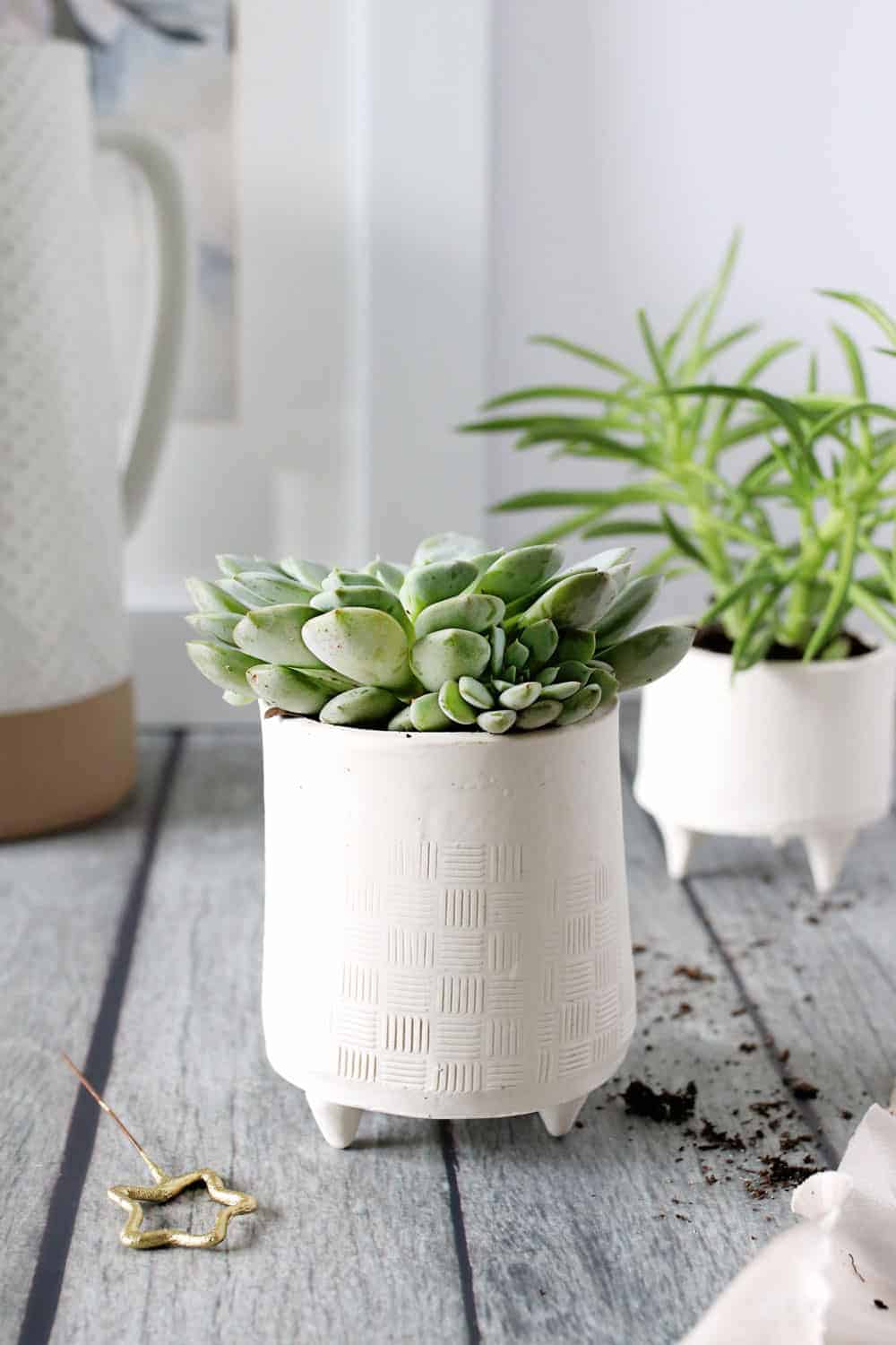 How to Make Your Own Gorgeous, Giftable Succulent Planters