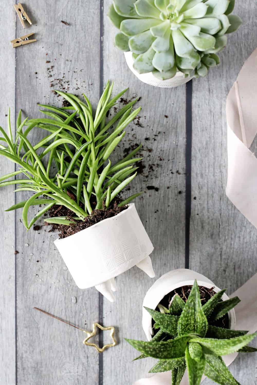 Make Your Own Little Clay Pots For Fresh Succulent Plants