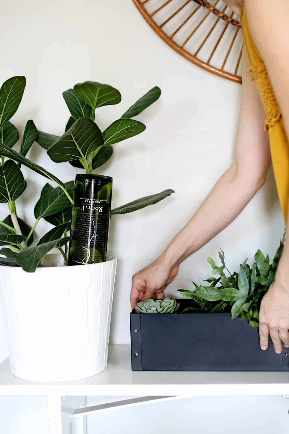 5 Self-Watering Planter Hacks You Have to Try