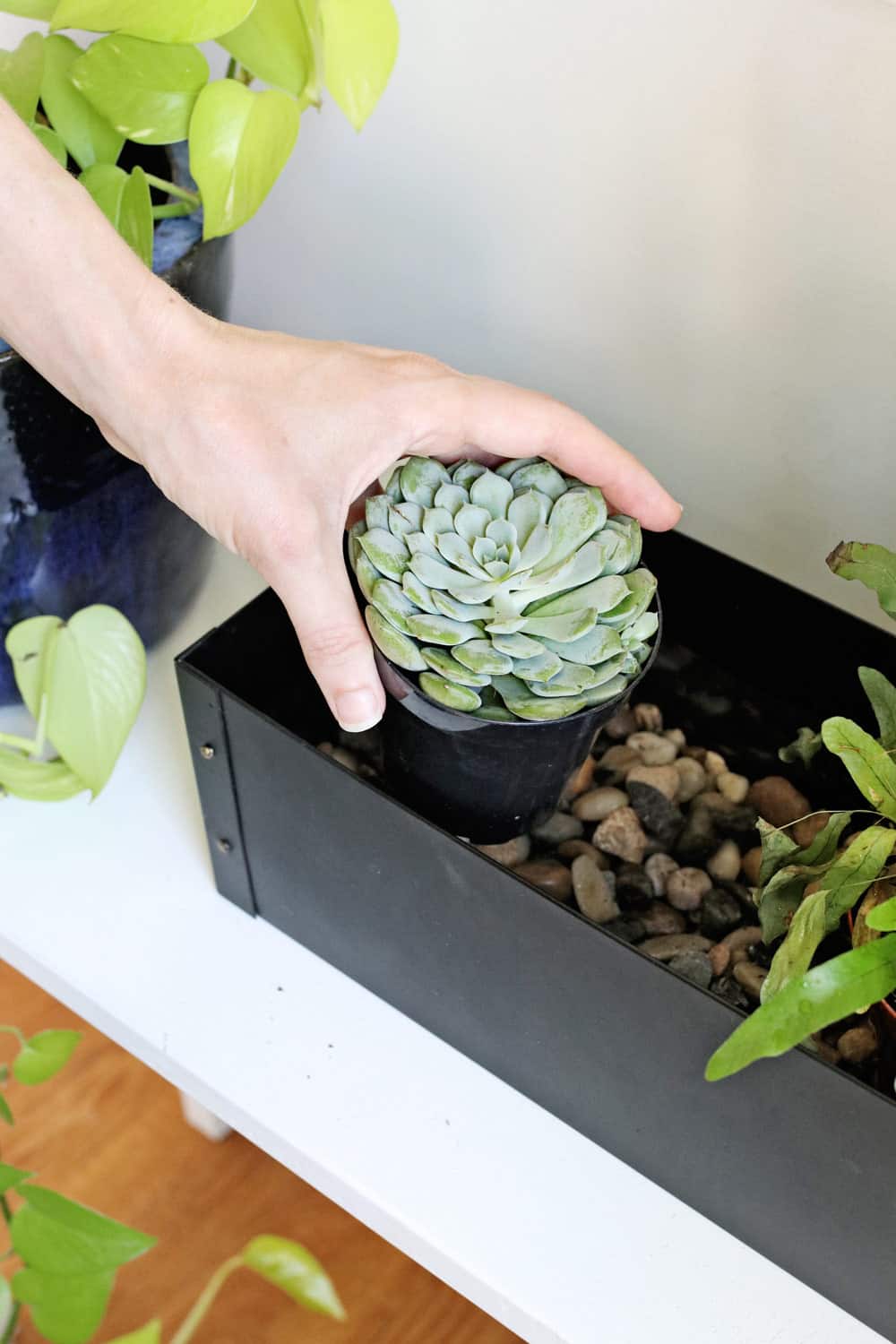 5 Self-Watering Planter Hacks You Have to Try