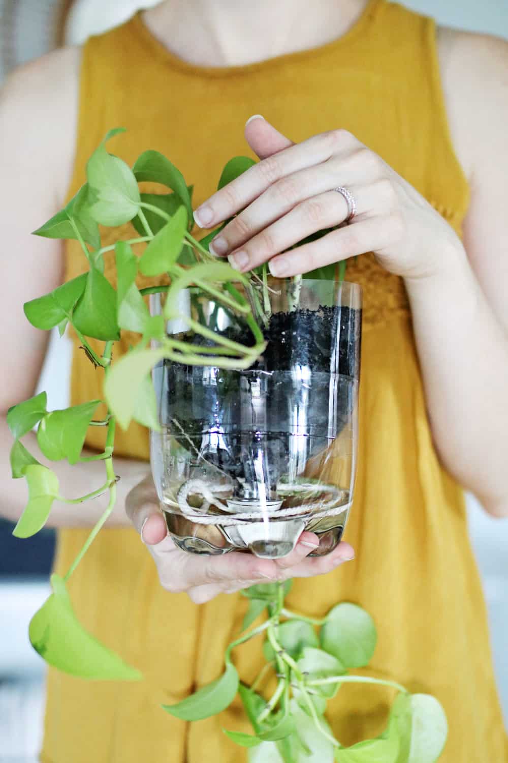 DIY self watering milk jug