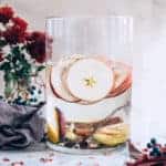 Apple Cinnamon Infused Water