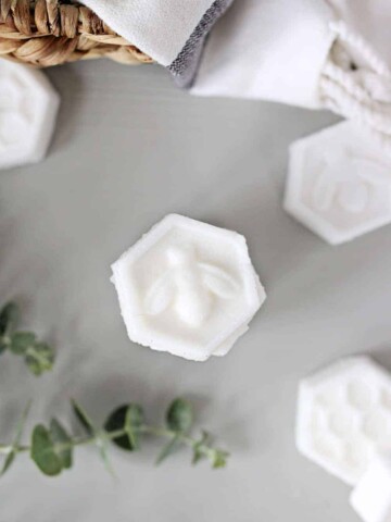 Eucalyptus and Menthol SHower Steamers