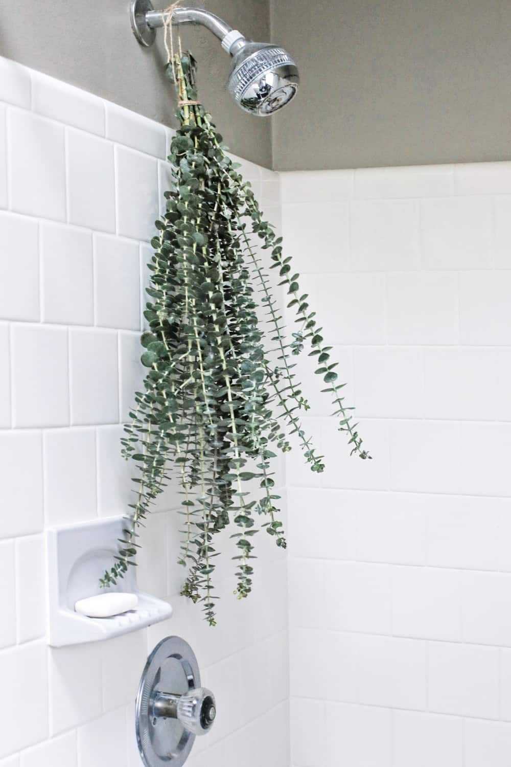 Comment faire une douche d'eucalyptus pour nettoyer les sinus