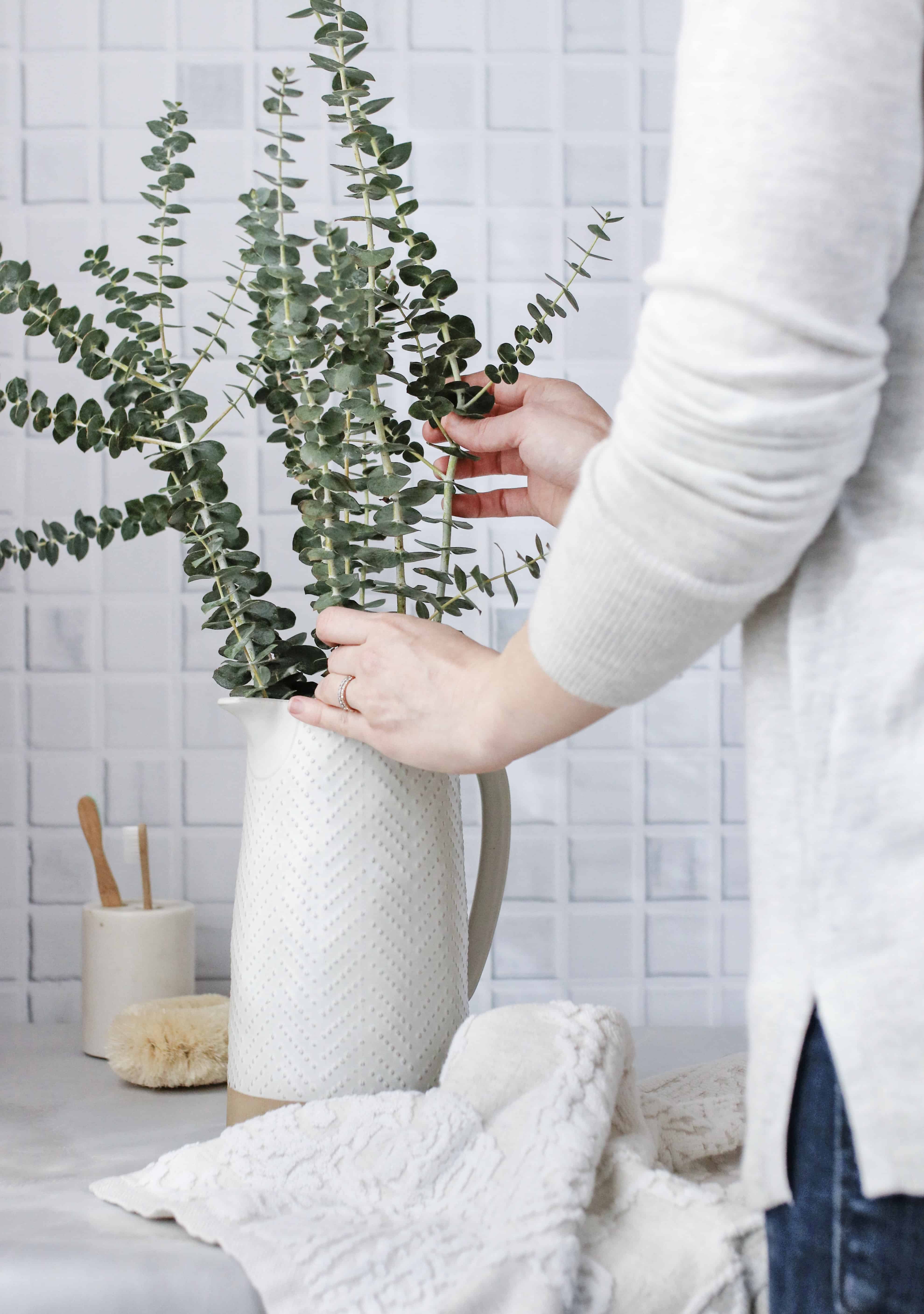 eucalyptus for steam shower