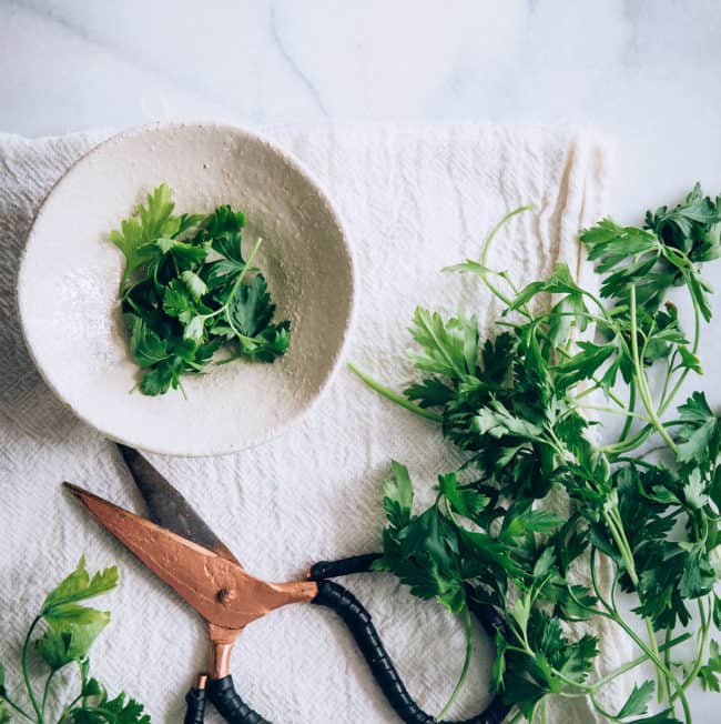 How to use cilantro